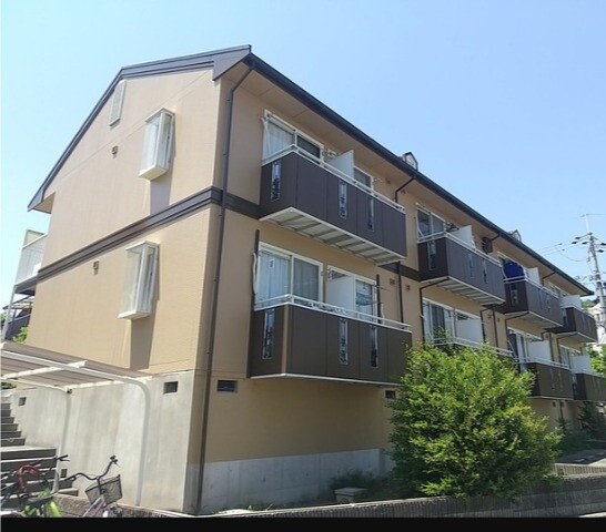 ���������ߡ֡׳���