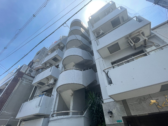 Halさくら